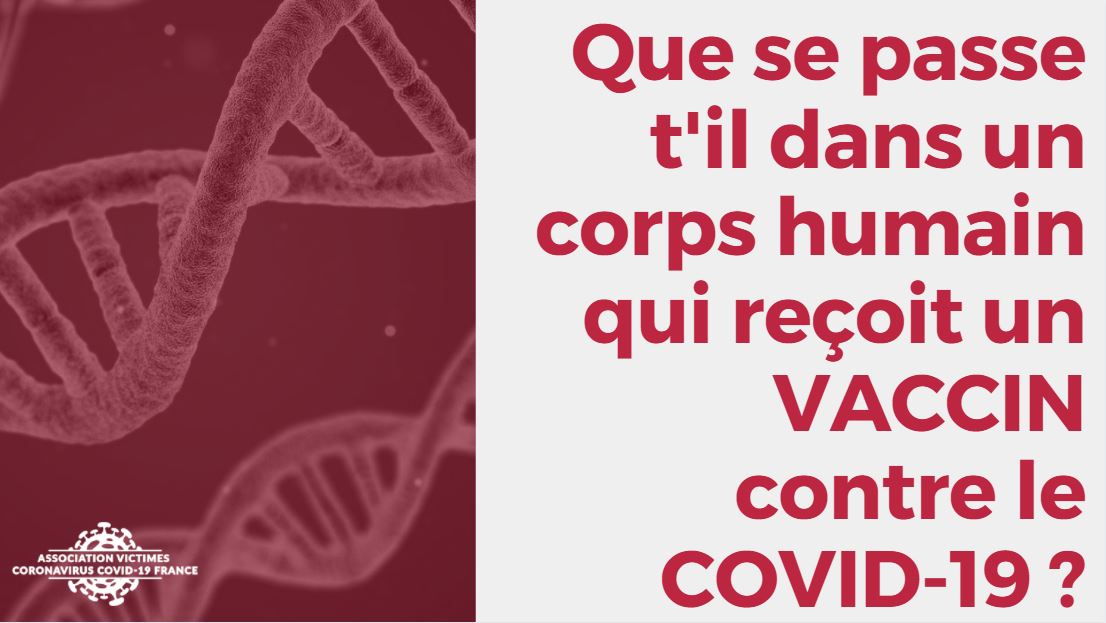 Voici ce qu’il se passe quand un vaccin ARN – thérapie génique – contre le Covid-19 est injecté dans un corps humain